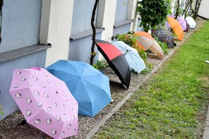 Na zdjęciu dzieci w czasie zajęć