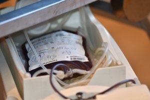 Na zdjęciu osoby biorące udział w akcji krwiodawstwa