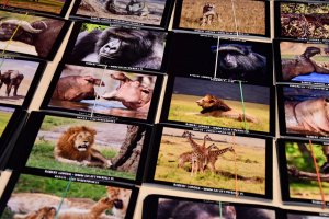 Na zdjęciu uczestnicy spotkania