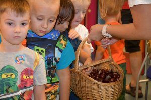 Na zdjęciu dzieci w czasie zajęć