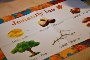 Na zdjęciu dzieci w czasie zajęć