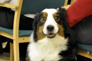 Projekcja filmu dokumentalnego „Fuks” (07.03.2019)