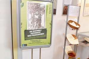 Na zdjęciu elementy wystawy.