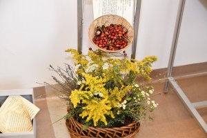 Na zdjęciu elementy wystawy.