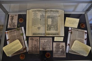 Na zdjęciu elementy wystawy.