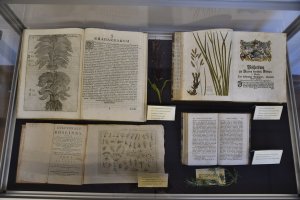 Na zdjęciu elementy wystawy.