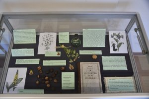 Na zdjęciu elementy wystawy.