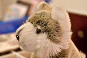 Na zdjęciu dzieci w czasie zajęć.