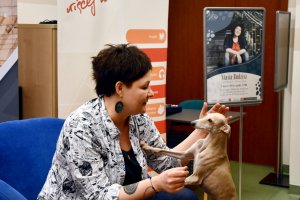 Mega śmieszny pies.