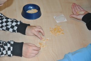 Na zdjęciu dzieci w czasie zajęć.