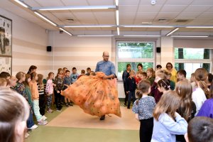 Na zdjęciu dzieci w czasie zajęć.