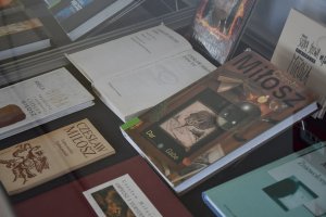 Na zdjęciu elementy wystawy.