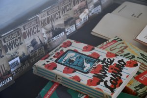 Na zdjęciu elementy wystawy.