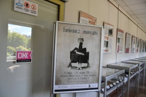 Na zdjęciu elementy wystawy.