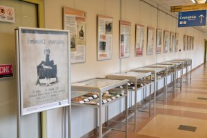 Na zdjęciu elementy wystawy.