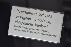 Na zdjęciu elementy wystawy.