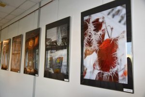 Na zdjęciu elementy wystawy.