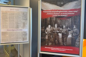 Na zdjęciu elementy wystawy