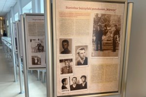 Na zdjęciu elementy wystawy