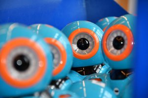 Na zdjęciu dzieci w czasie zajęć.