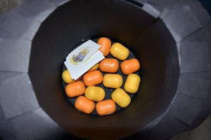 Na zdjęciu dzieci w czasie zajęć.