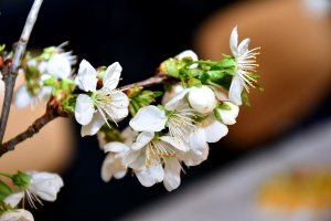 Na zdjęciu członkowie klubu