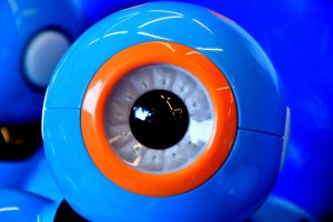 Na zdjęciu dzieci w czasie zajęć