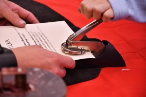 Na zdjęciu dzieci w czasie zajęć