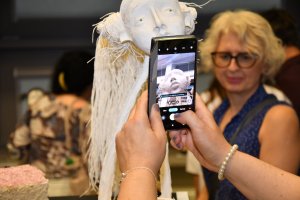 505223978_1132337278937431_828983495214113381_n