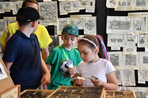 503998405_1132348348936324_5042859913281780748_n