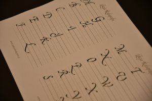 504524913_1132358498935309_8386965406854608601_n