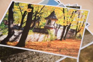 504271498_1133093198861839_7129872066460184600_n