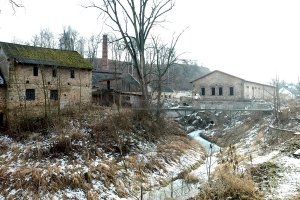 Witulin