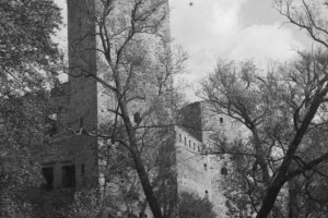 Drzewica