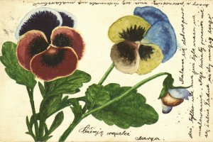 pocztówka imieninowa z kwiatami