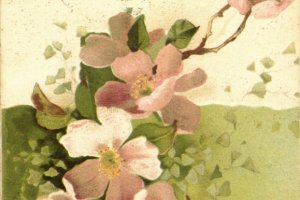 pocztówka imieninowa z kwiatami